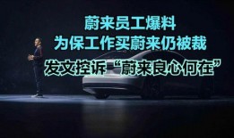 蔚来爆料新闻,揭秘新能源汽车行业新动态！”